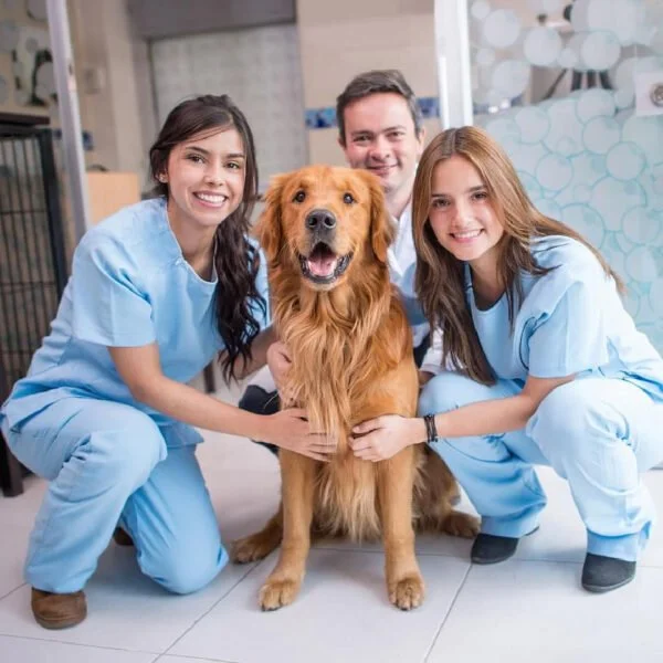 Pet-services-Images-05-600x600