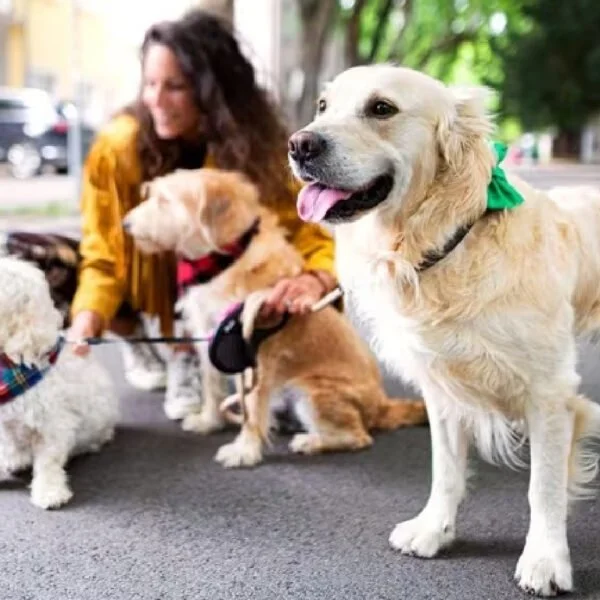 Pet-services-Images-08-600x600